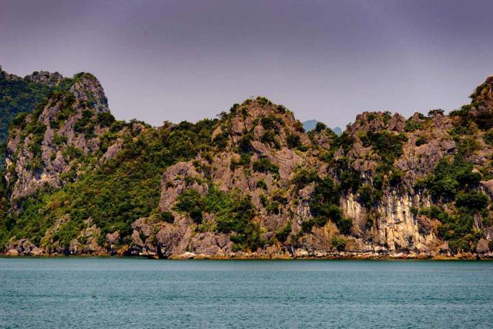 Thérapie participative Montréal